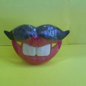 Stachecifiee Lollipop 10g